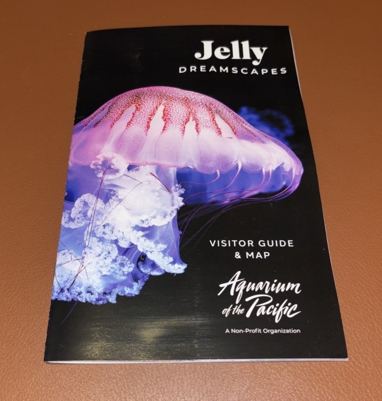 Aquarium of the Pacific 2026 Visitor Guide & Map Jelly Dreamscapes Long Beach Aquarium of the Pacific 2026 Visitor Guide & Map Jelly Dreamscapes Long Beach