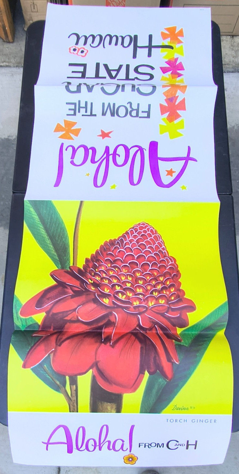 David Pollack Aloha Hawaii & Frank Davina Torch Ginger Hanging Add Store Posters