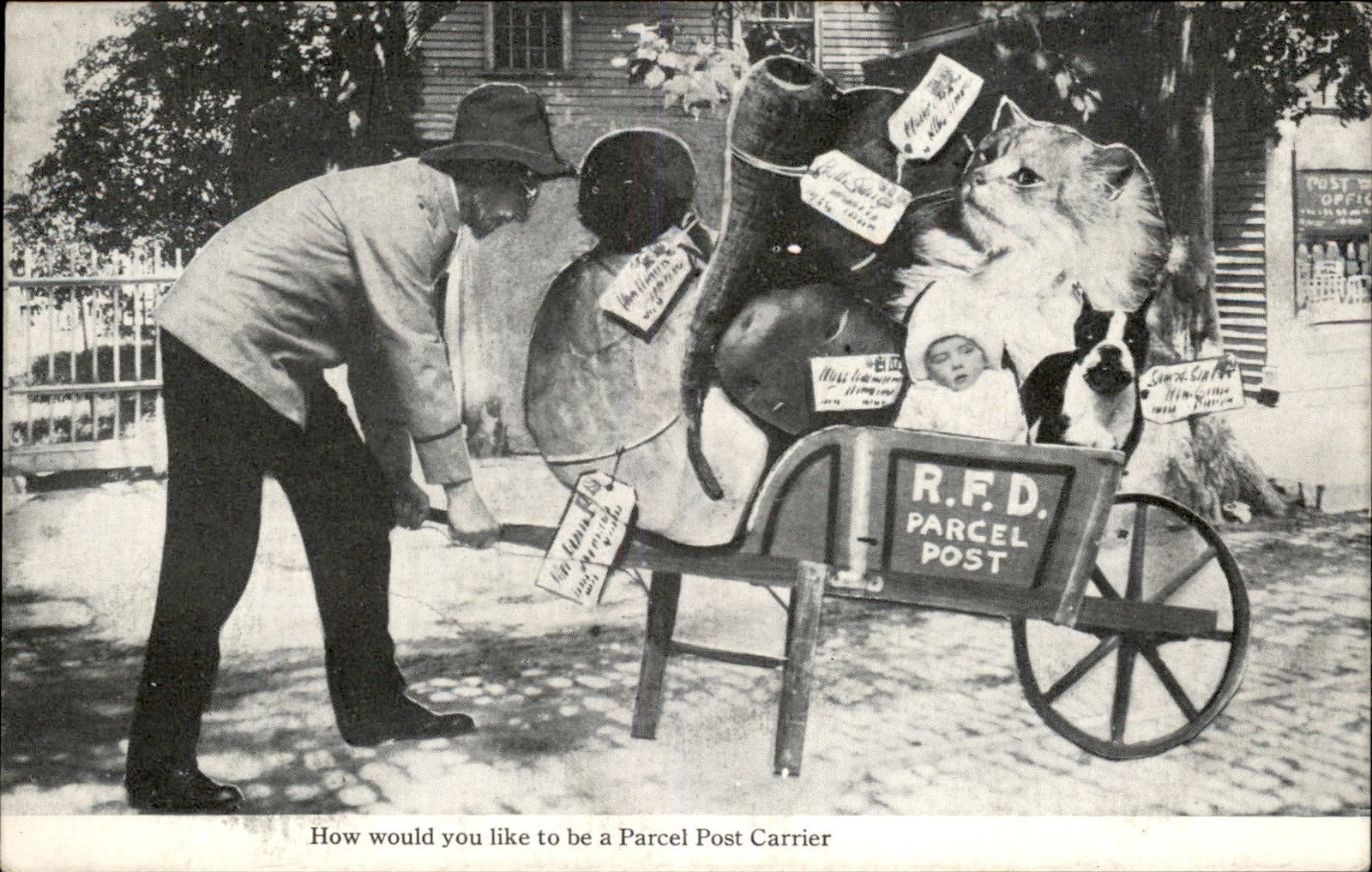 Parcel Post RFD Mail Carrier Satire Kitty Cat & Baby c1900s-10s Postcard bhn