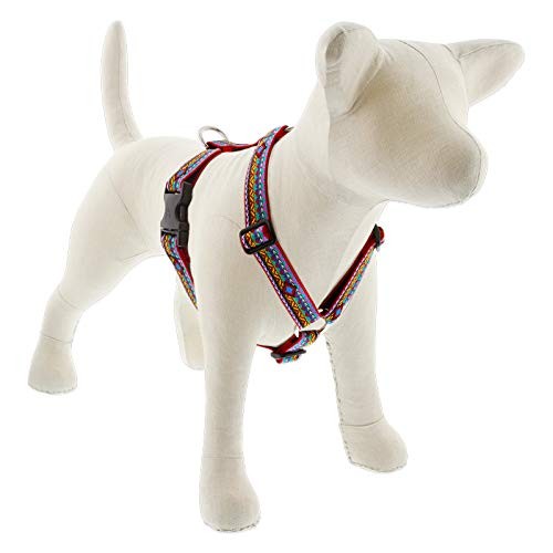 Adjustable Large Dog Harness by Lupine 1 Adjustable Large Dog Harness by Lupine 1