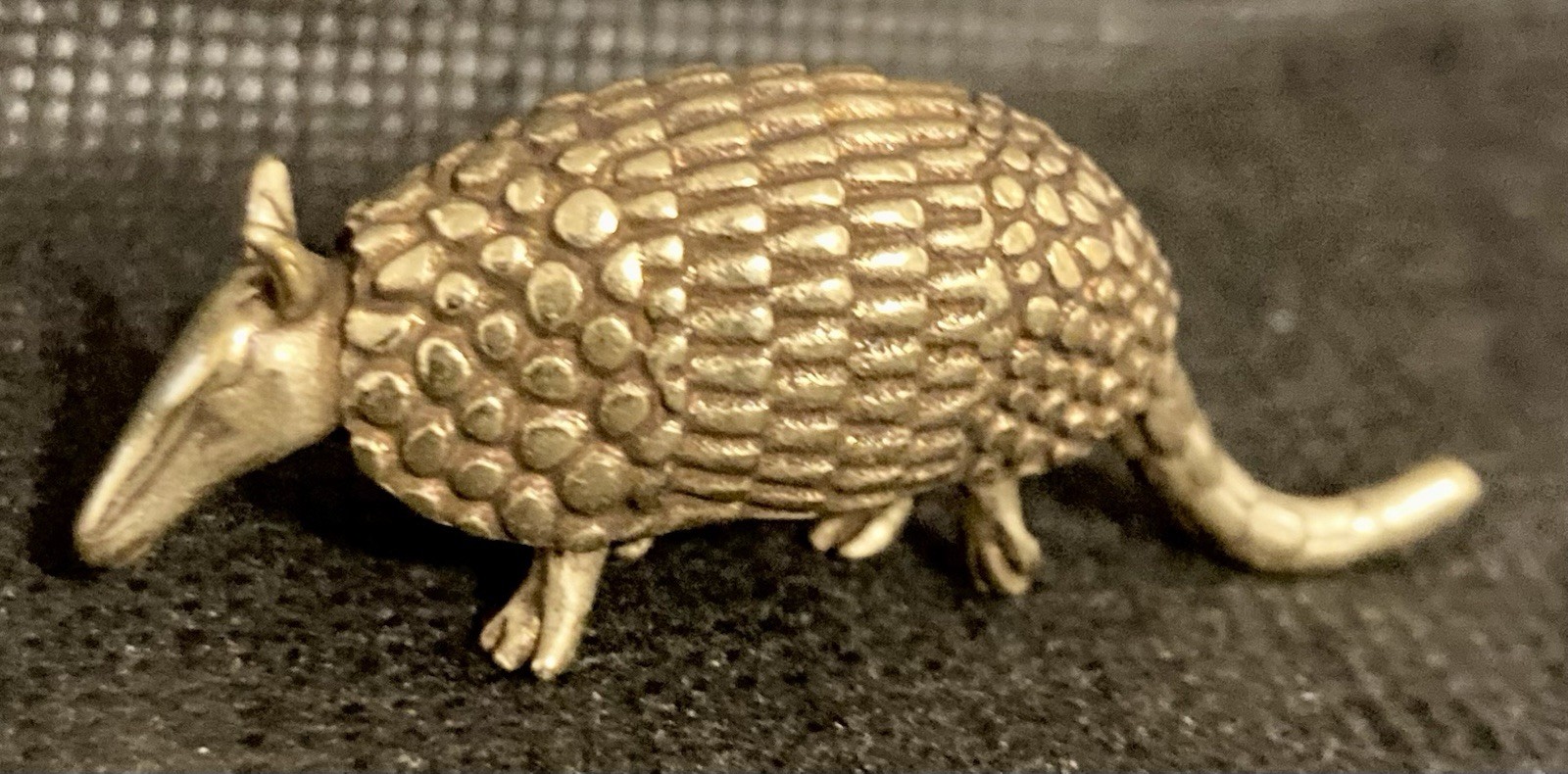 Armadillo Brass 1 7/8 Armadillo Brass 1 7/8