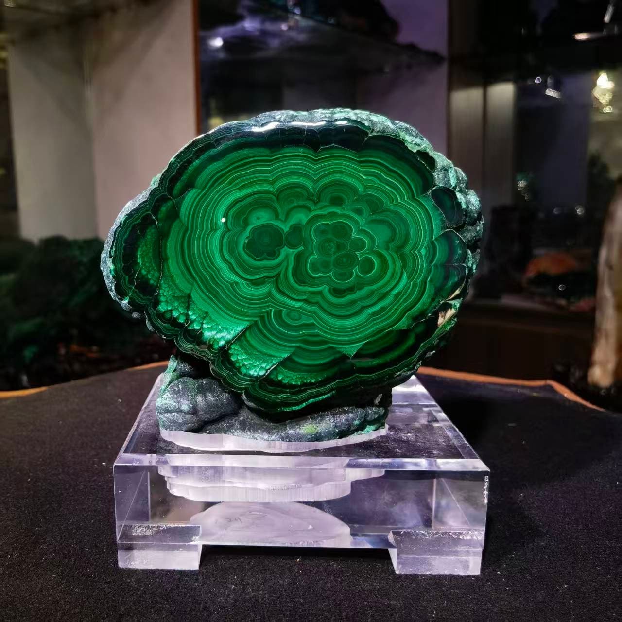 5.72LB Top Natural Malachite Quartz Mineral Specimen Crystal Healing + stand