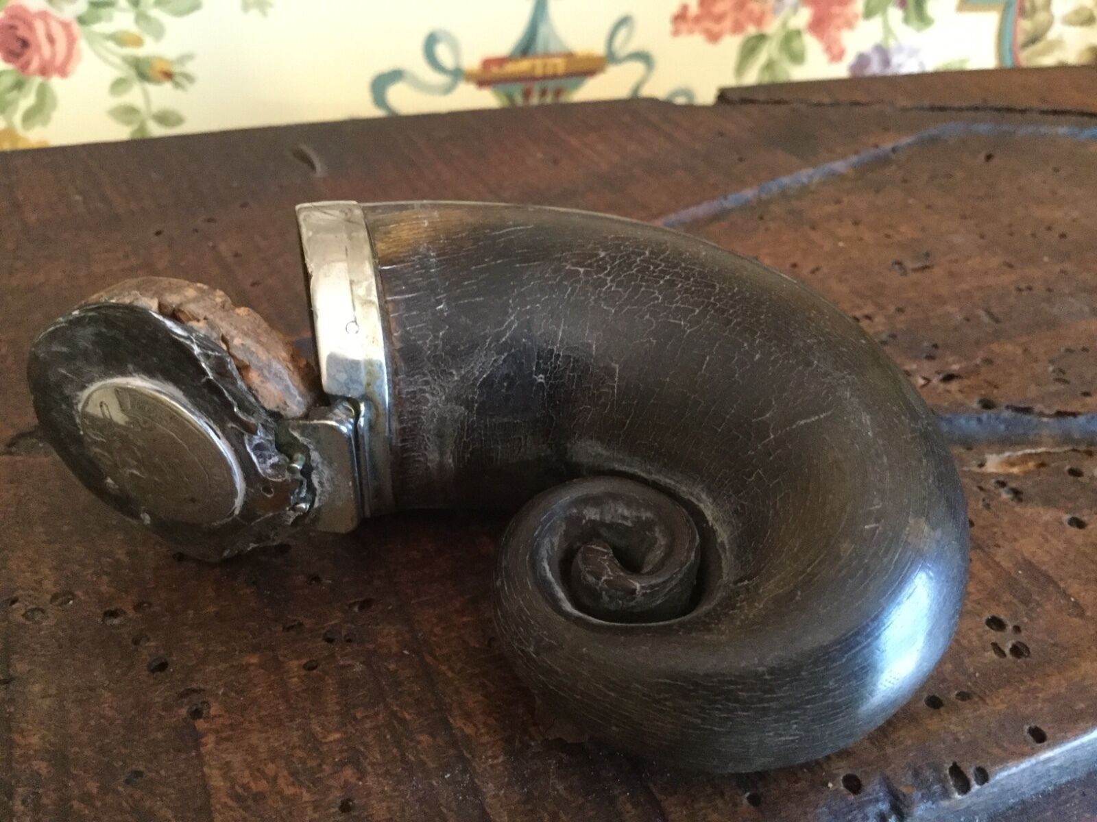 Antique Scottish Snuff Horn c. 1845 THISTLE SILVER MOUNTED RAMS HORN SNUFF MULL