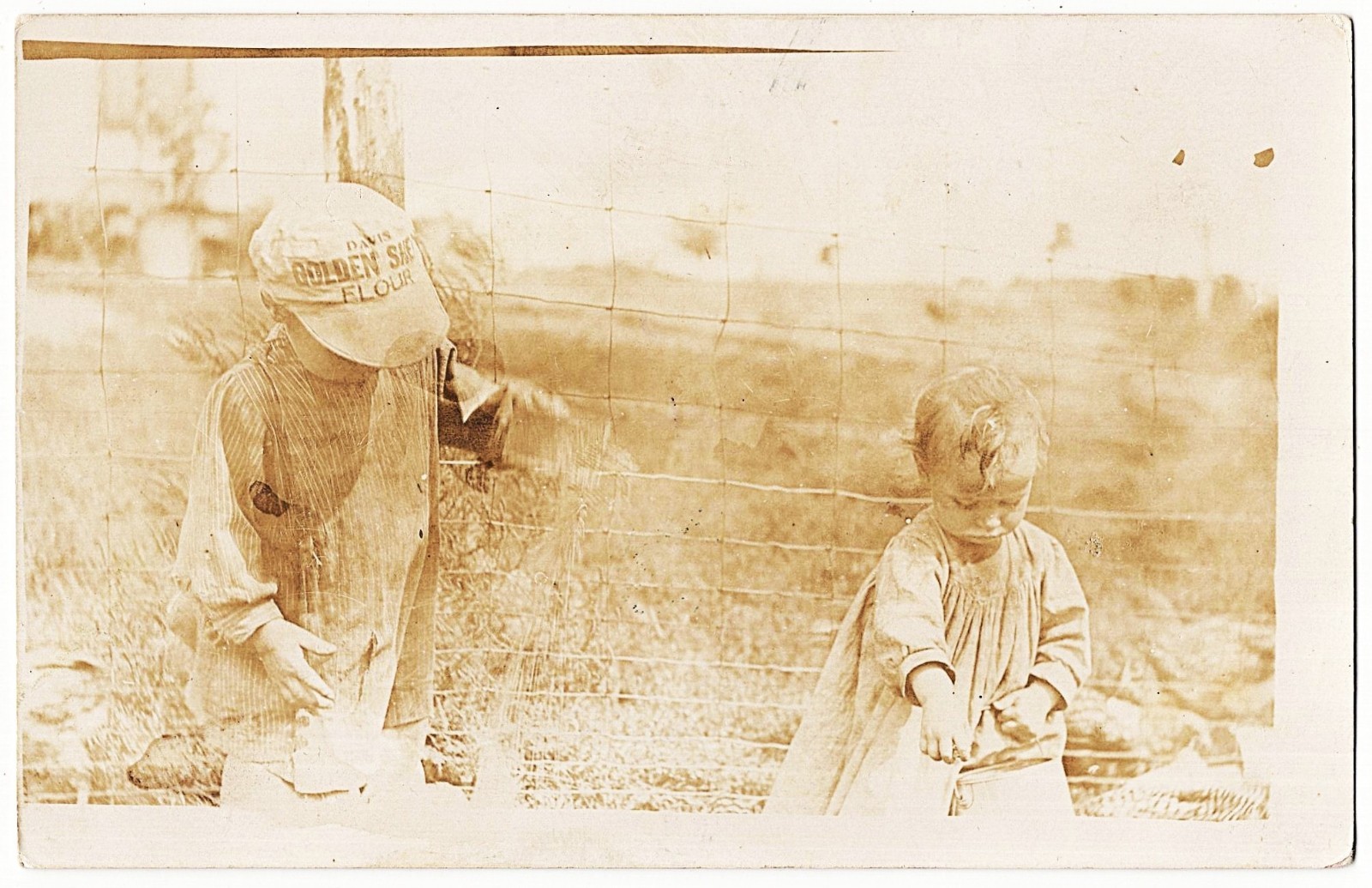 real photo Children Davis Golden Flour Hat Barbed Wire antique postcard RPPC real photo Children Davis Golden Flour Hat Barbed Wire antique postcard RPPC