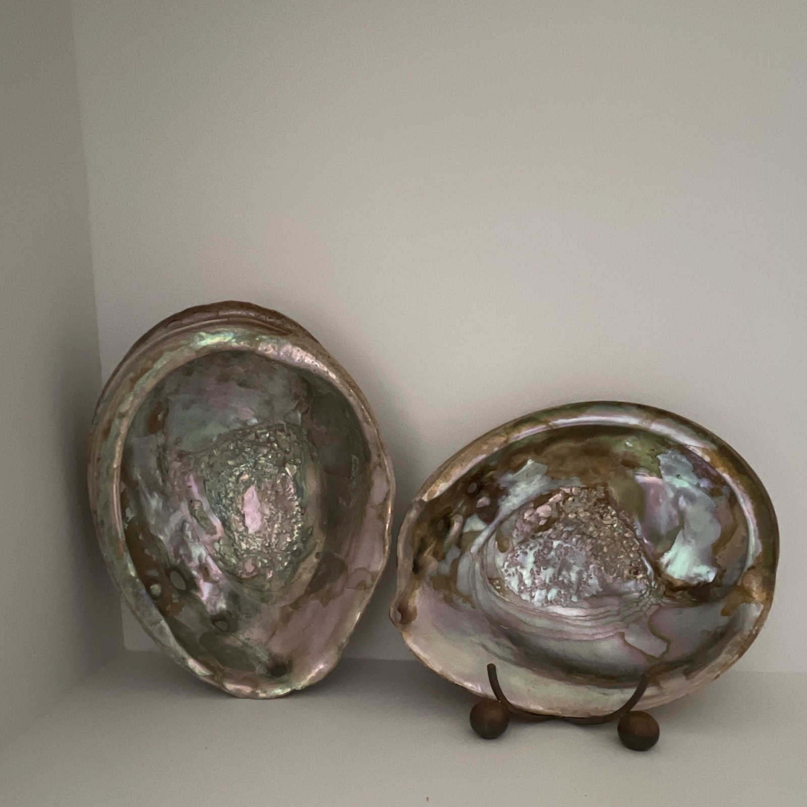 Large Natural Abalone Shells Pair | Iridescent Mother of Pearl Coastal 7.5 inch
