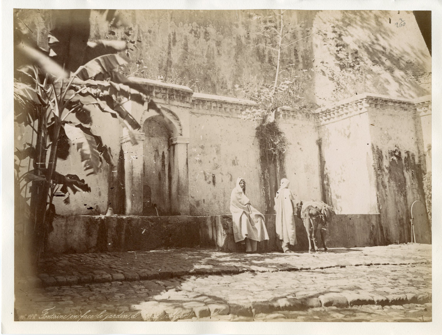 Algeria, Algiers, Fontaine au jardin d'Essai vintage albumen print.  Tirag