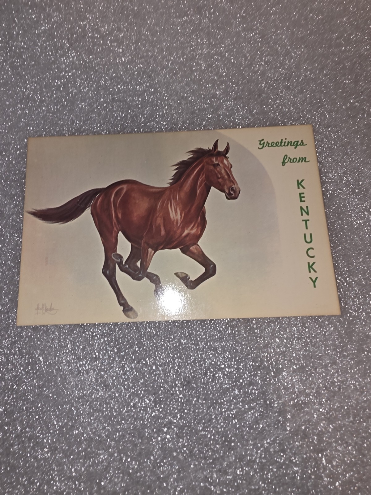 Postcard Vintage Kentucky Running Mustang Horse Postcard Racing