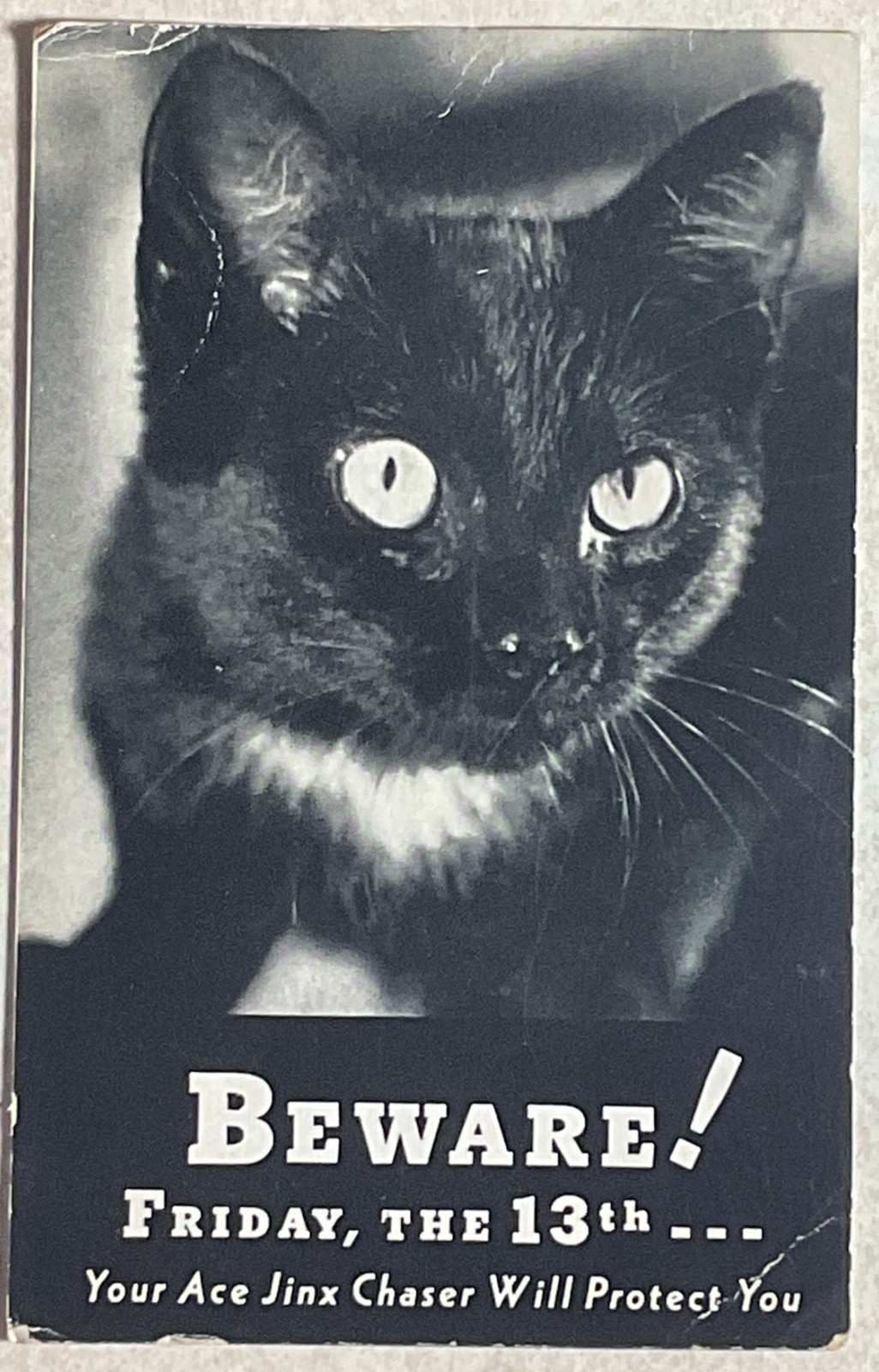 Vintage Beware Friday the 13th Your Ace Jinx Protector Black Cat Postcard-Unused Vintage Beware Friday the 13th Your Ace Jinx Protector Black Cat Postcard-Unused