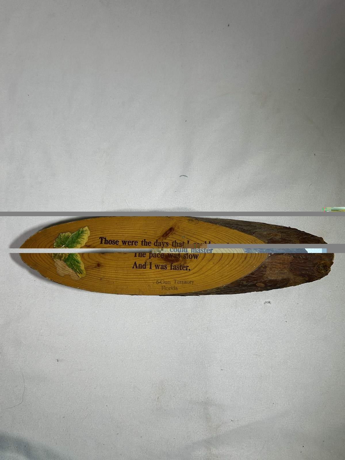 Vintage 6-Gun Territory Silver Springs FL Wooden Wood Sign Those Were The Days