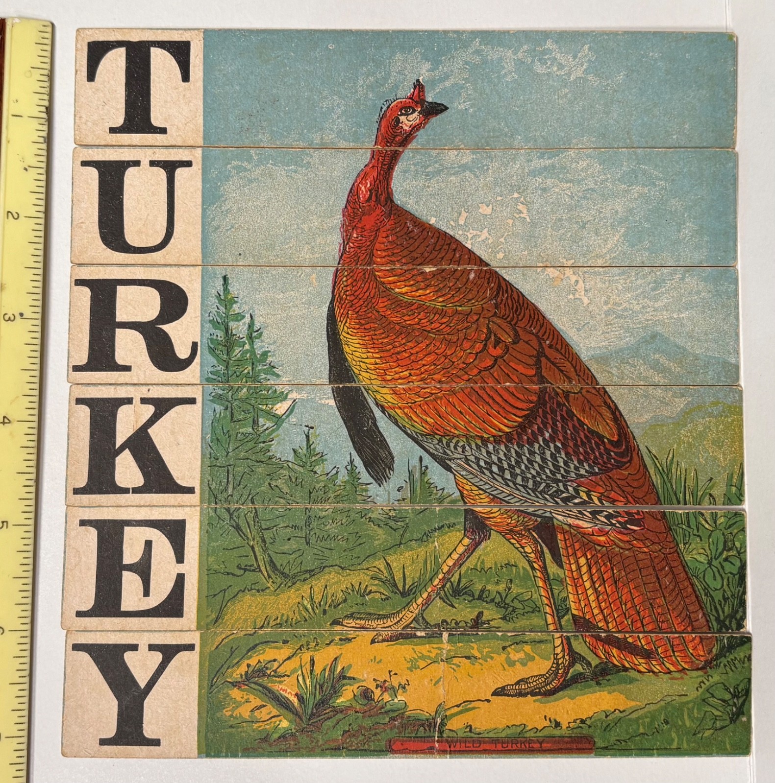 1880’S VICTORIAN DISSECTED SLAT PUZZLE SPELLS TURKEY~LARGE WILD TURKEY 1880’S VICTORIAN DISSECTED SLAT PUZZLE SPELLS TURKEY~LARGE WILD TURKEY