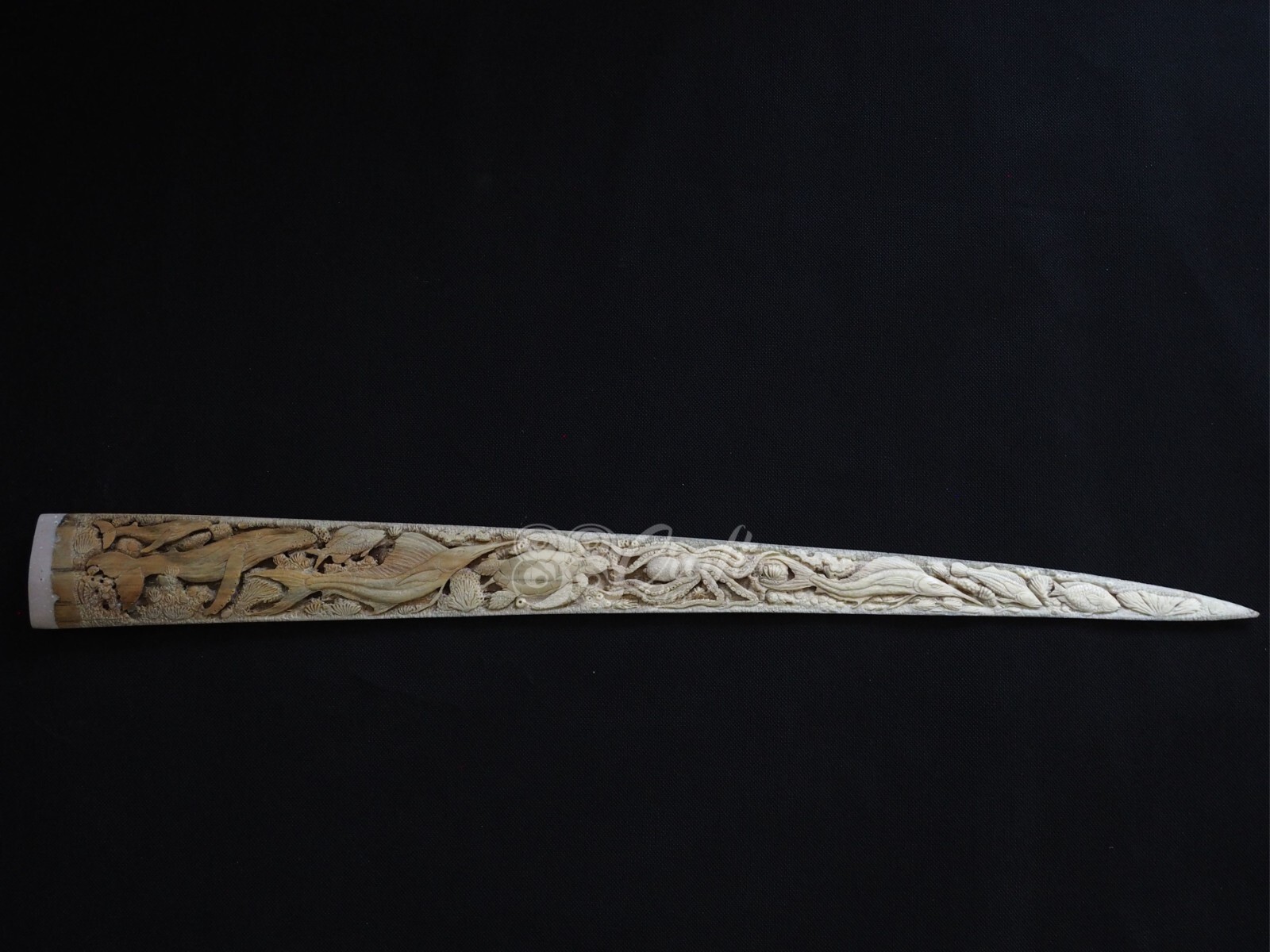Swordfish Bill Real Marlin Bone Carved Handmade Marlin Fish Model 30\'\' Swordfish Bill Real Marlin Bone Carved Handmade Marlin Fish Model 30\'\'