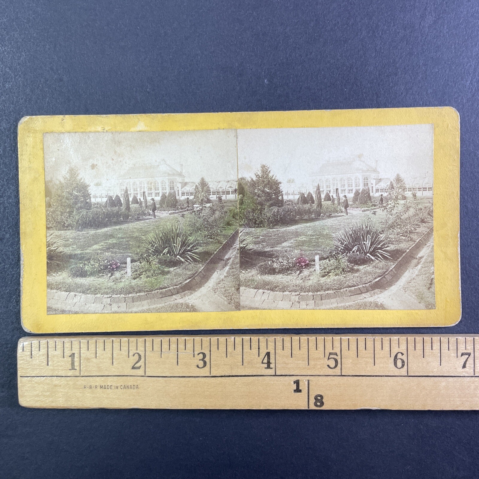 Shaw's Missouri Botanical Garden Stereoview Boehl & Koenig St. Louis 1870s Shaw's Missouri Botanical Garden Stereoview Boehl & Koenig St. Louis 1870s