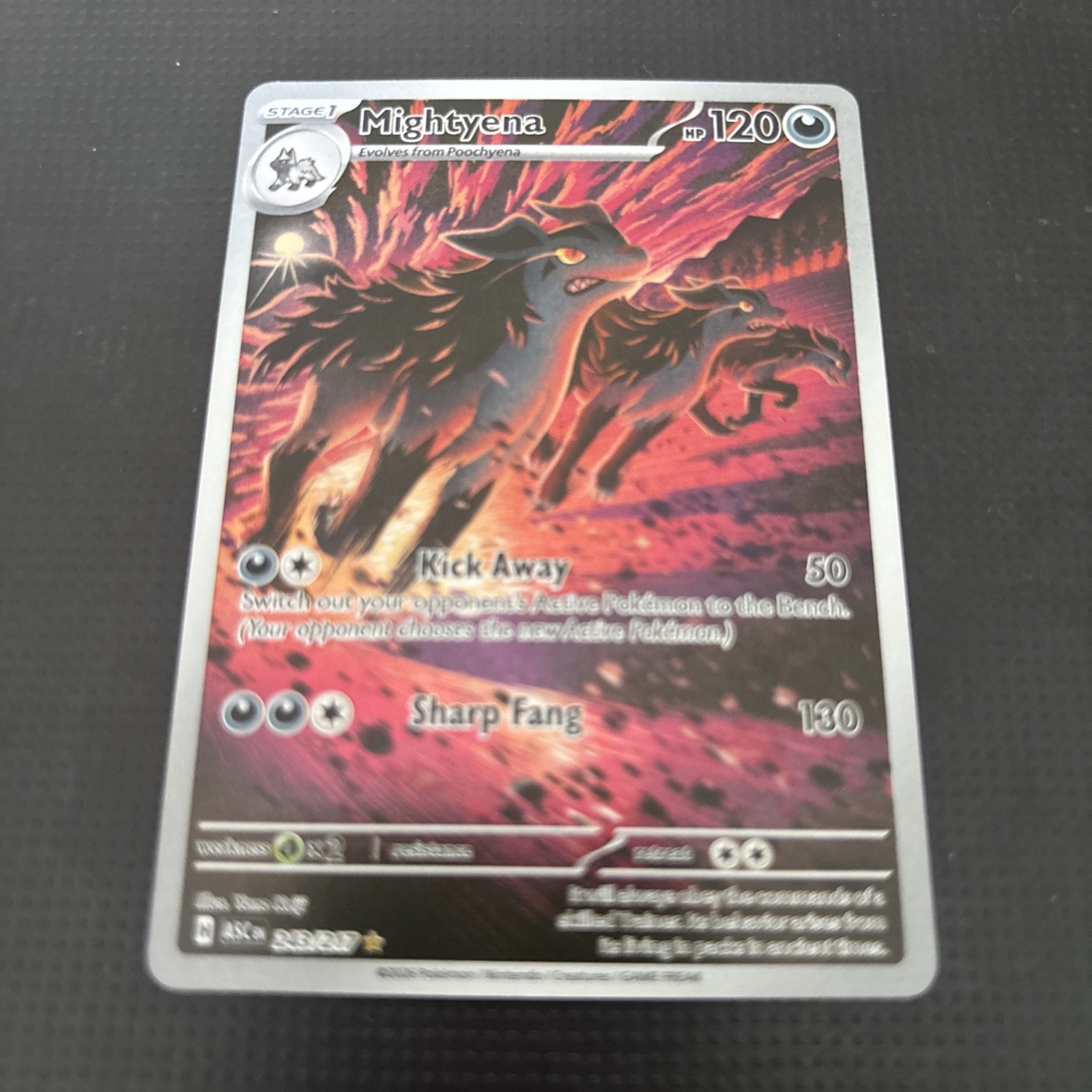 Mightyena 243/217 Ascended Heroes Illustration Rare NM/Mint