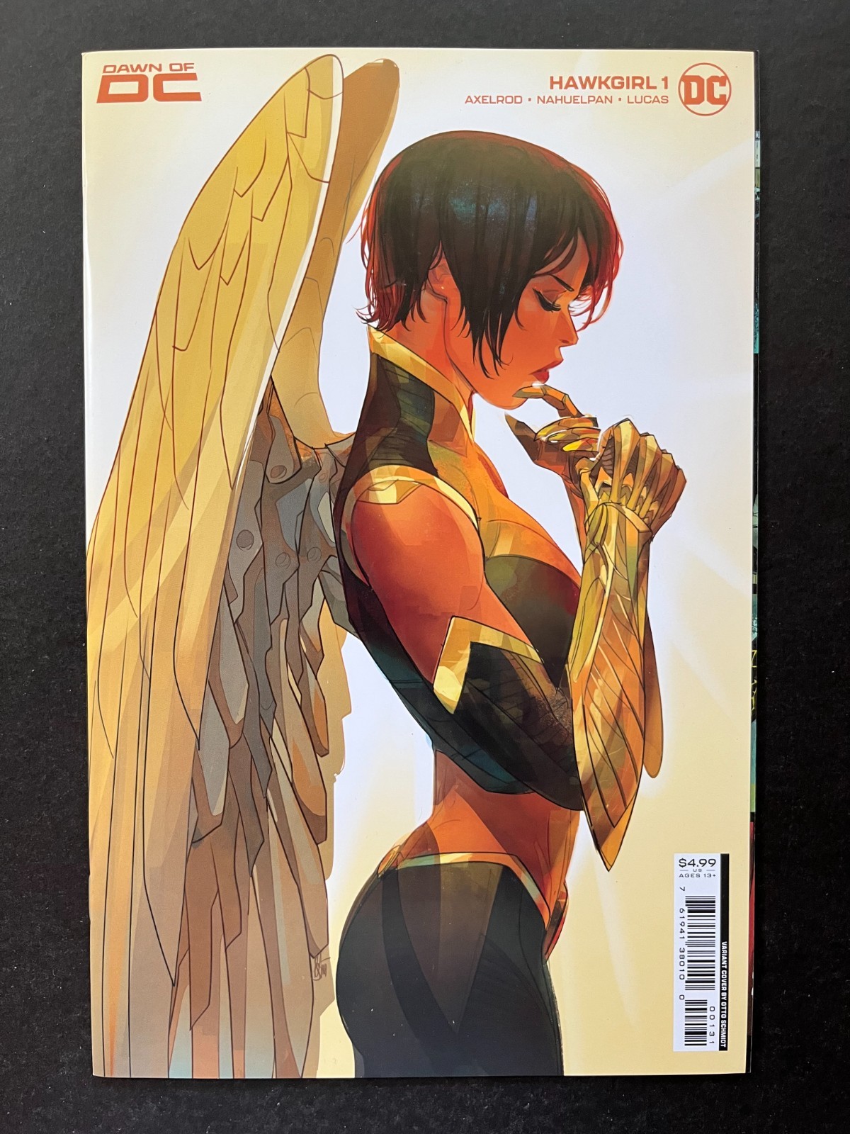 HAWKGIRL #1 *VF/NM (9.0)* (DC, 2023)  OTTO SCHMIDT VARIANT COVER