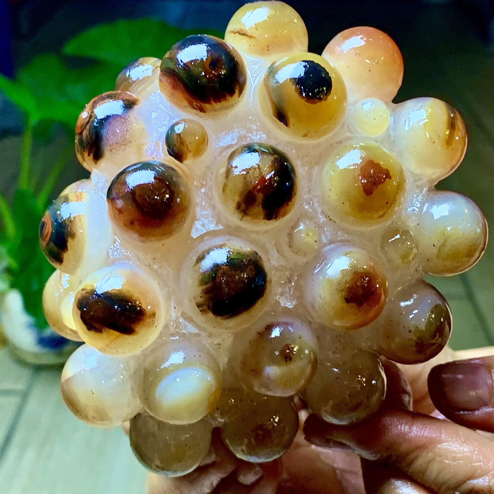 665G Natural Gobi Agate Eye Agate grape shape Crystal Madagascar mineral