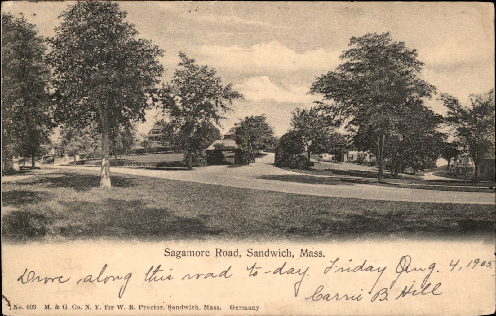 Sandwich MA Road Scene Sagamore Road M. & G. Co. c1905 Vintage Postcard