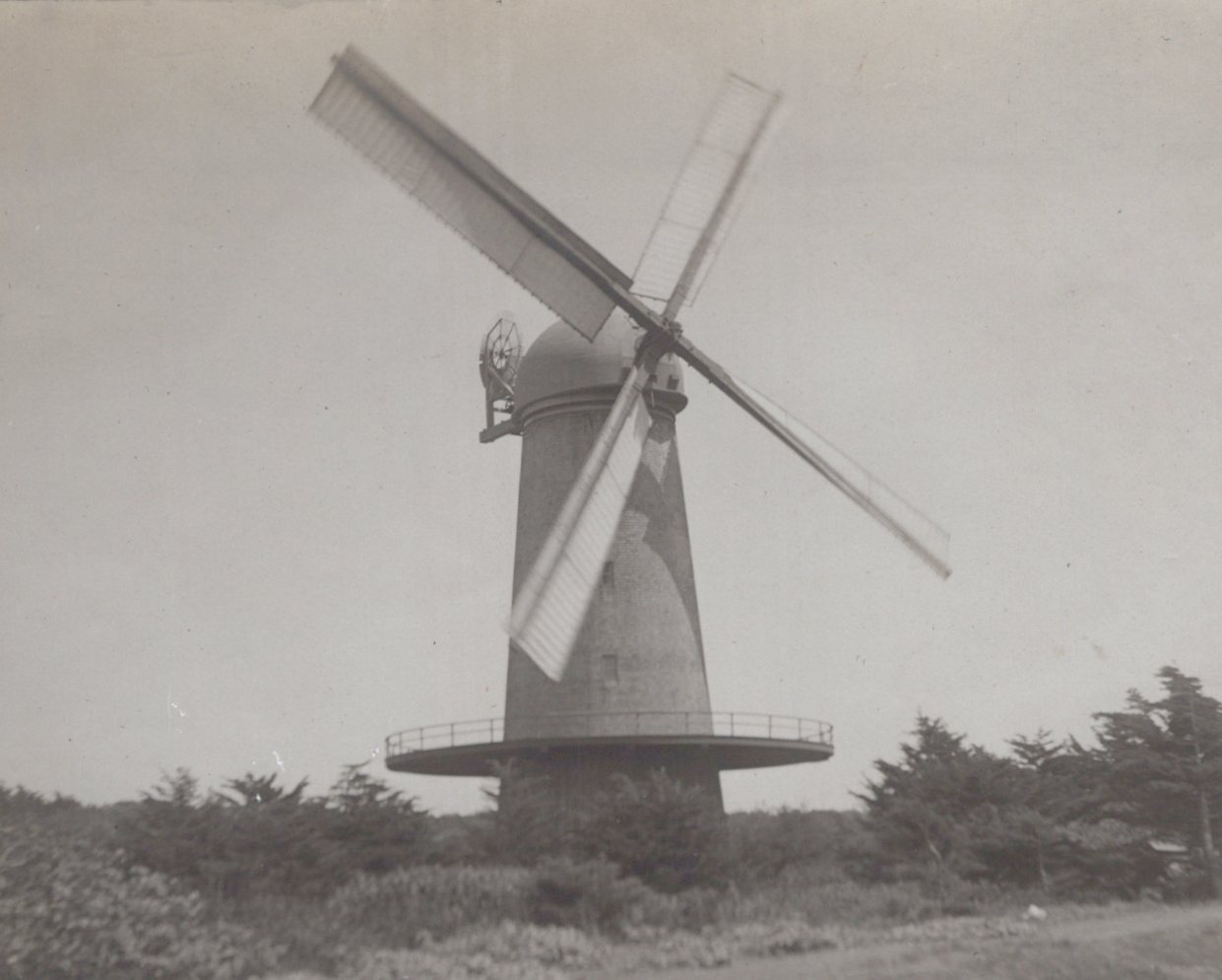 San Francisco 1908 Dutch Windmill Golden Gate Park - Original Photo