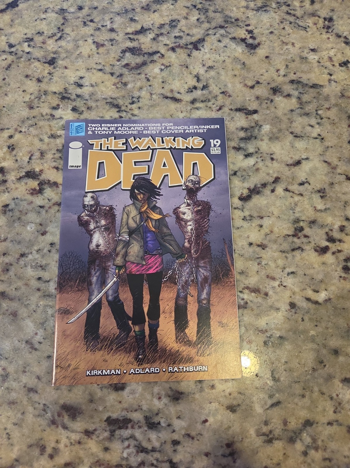 WALKING DEAD #19 Comic 1st Print 1st Appearance Michonne Image 2005 Key Issue NM