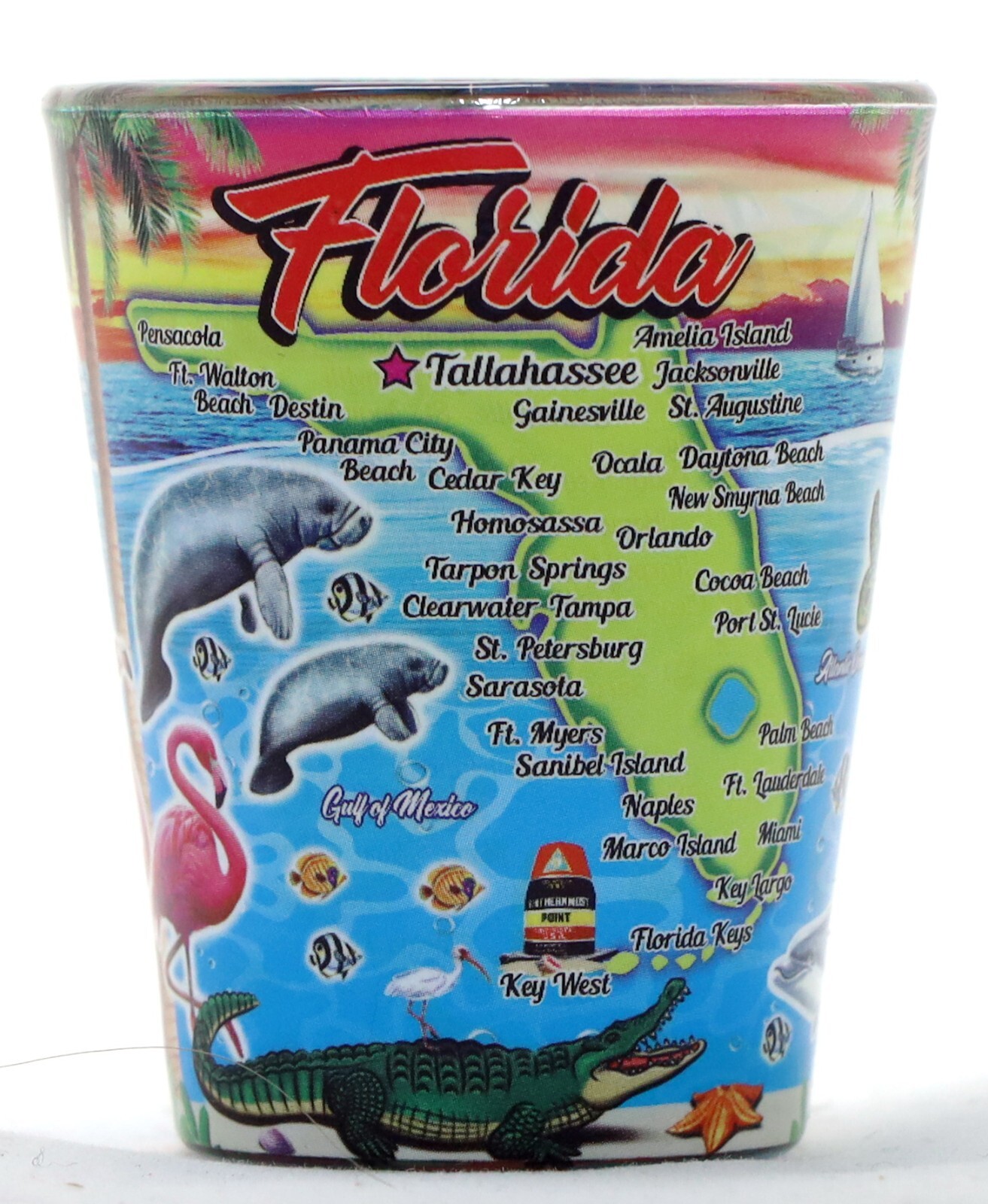 Florida Scene In and Out Shot Glass