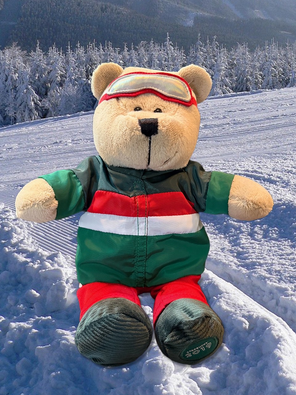 Starbucks 2019 Limited Edition Bearista Bear Skier Plush Stuffed Animal