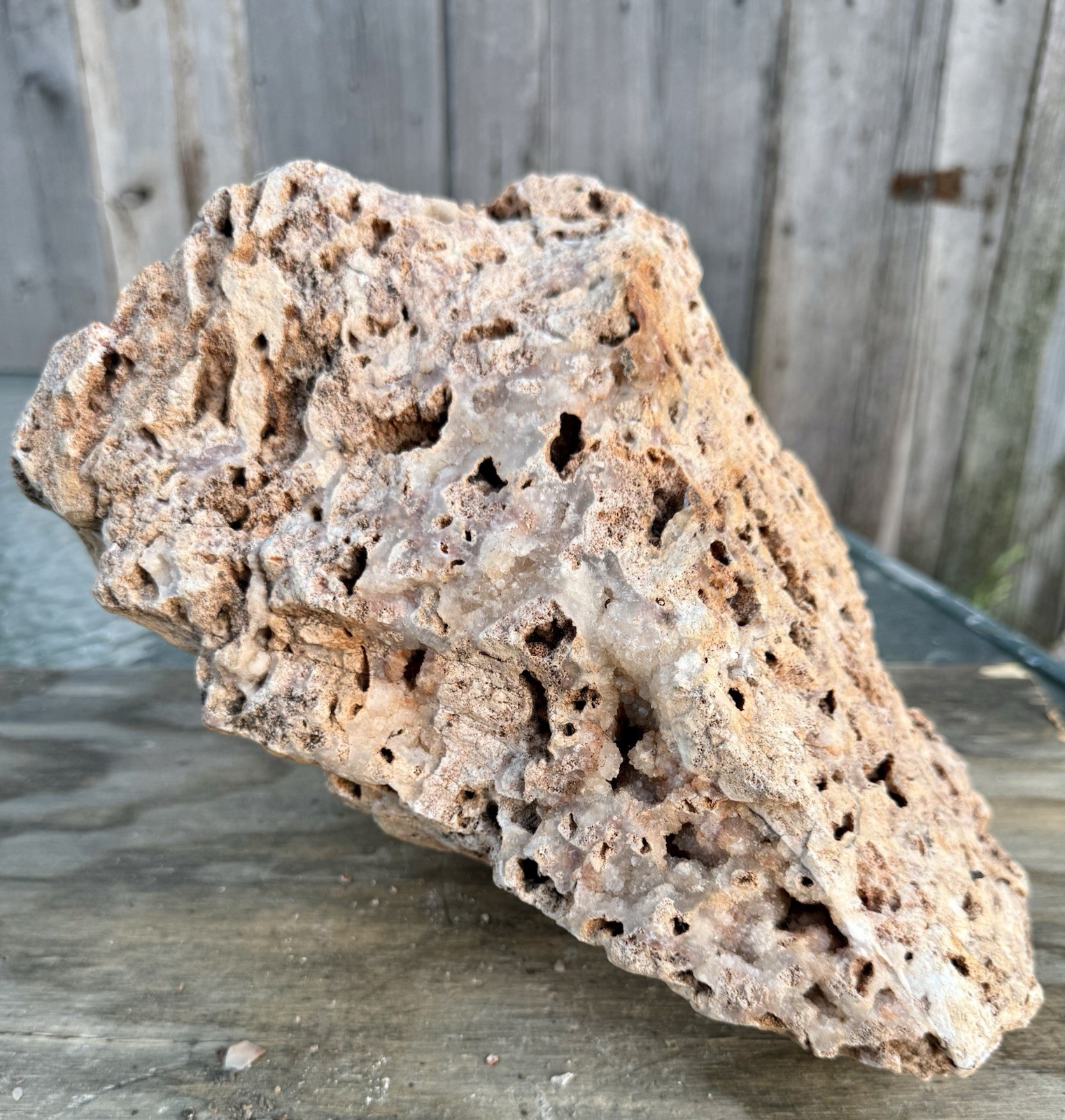 GORGEOUS* 9# Fossil Reef Rock~Pretty Druzy Sparkle~Unique Colorful Chalcedony GORGEOUS* 9# Fossil Reef Rock~Pretty Druzy Sparkle~Unique Colorful Chalcedony