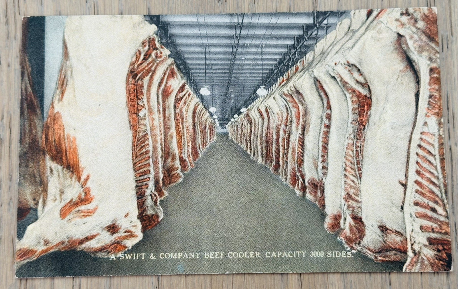 VTG 1919 Postcard Swift & Company Beef Cooler Chicago IL Illinois Meat Factory VTG 1919 Postcard Swift & Company Beef Cooler Chicago IL Illinois Meat Factory