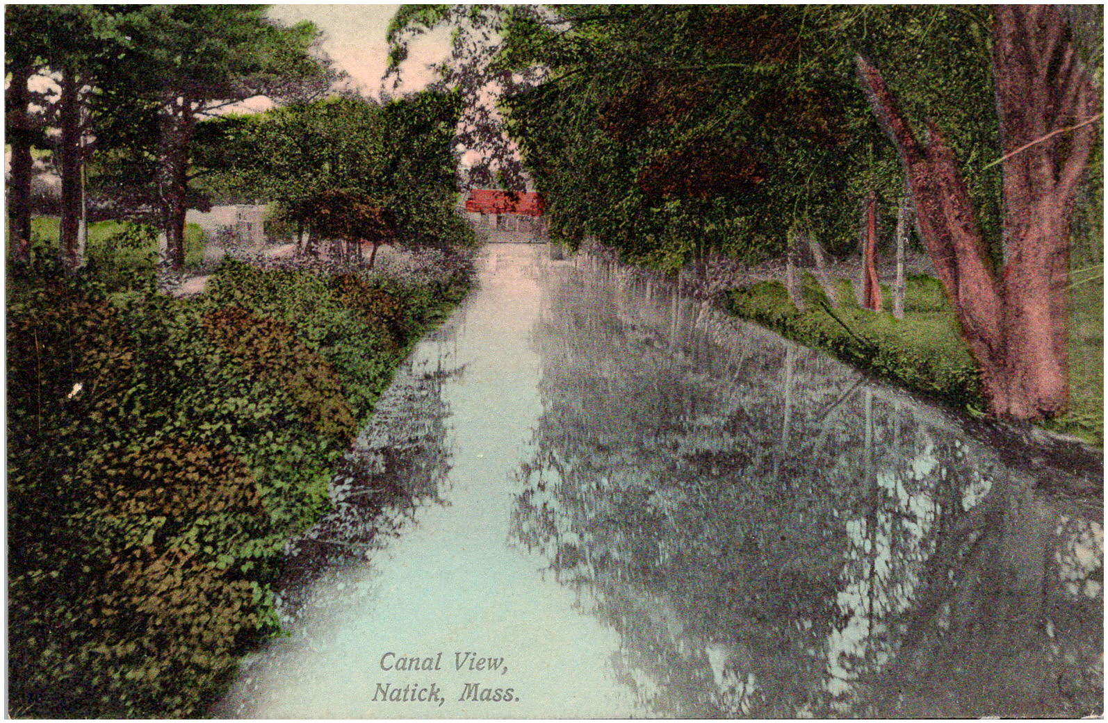Canal View in Natick Massachusetts MA 1900s Antique Postcard