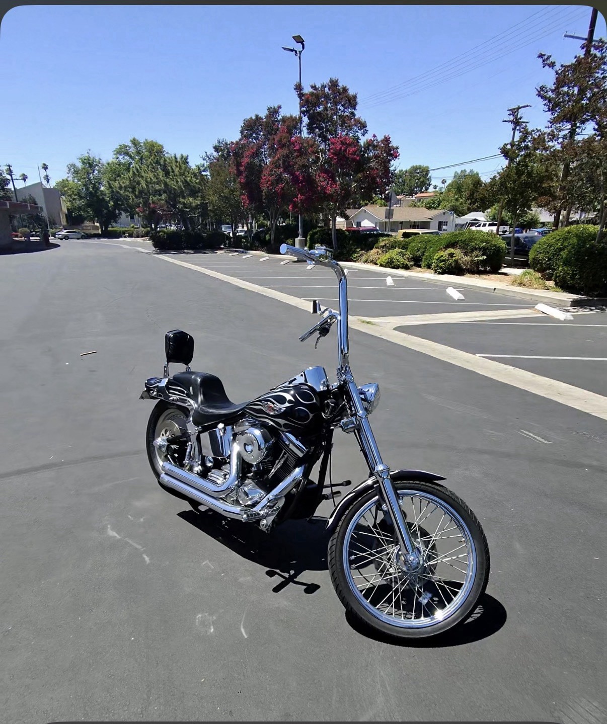 1995 HARLEY DAVIDSON SOFTAIL 1995 HARLEY DAVIDSON SOFTAIL