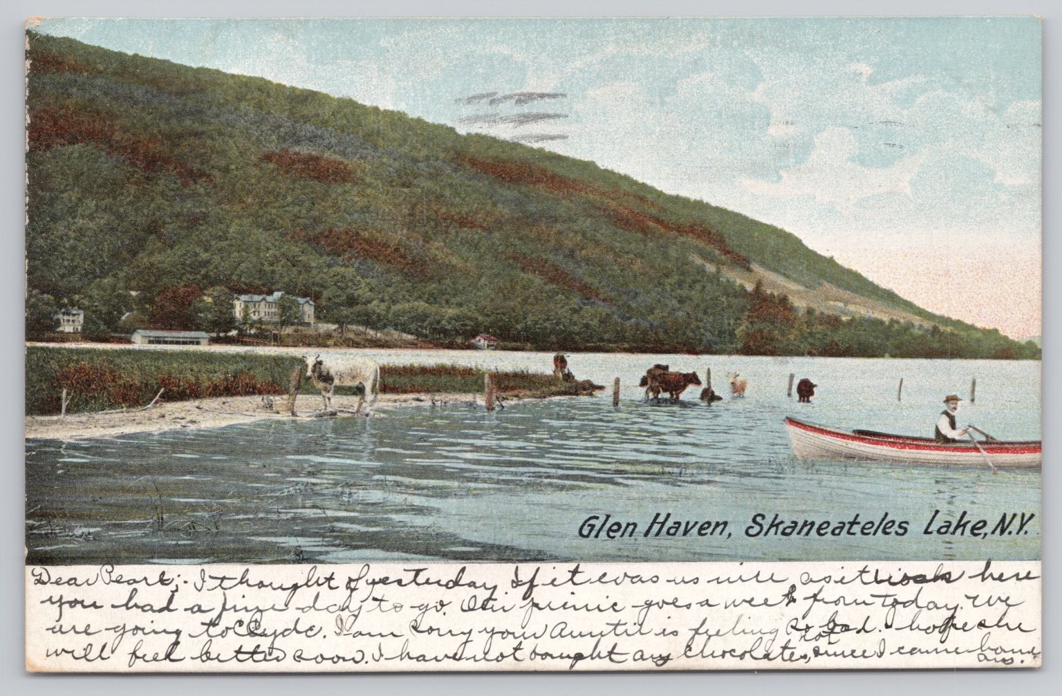 Vintage 1906 Glen Haven Skaneateles Lake NY Postcard with Rowboat & Cows