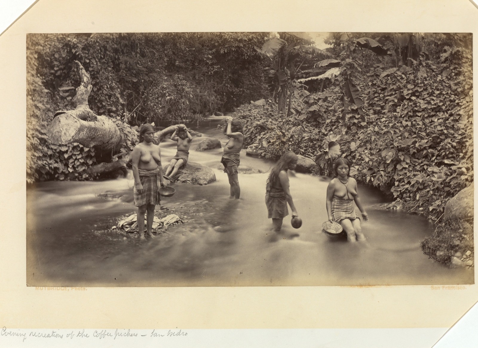 Eadweard Muybridge Coffee Pickers Vintage 1870s Photo Reprint Wall Art