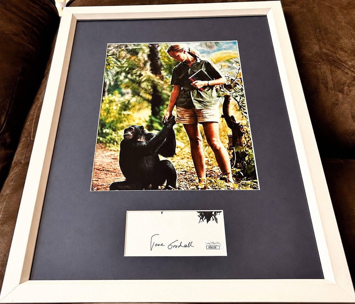 Jane Goodall cut signed autograph custom framed w/ vintage 8x10 chimps photo JSA