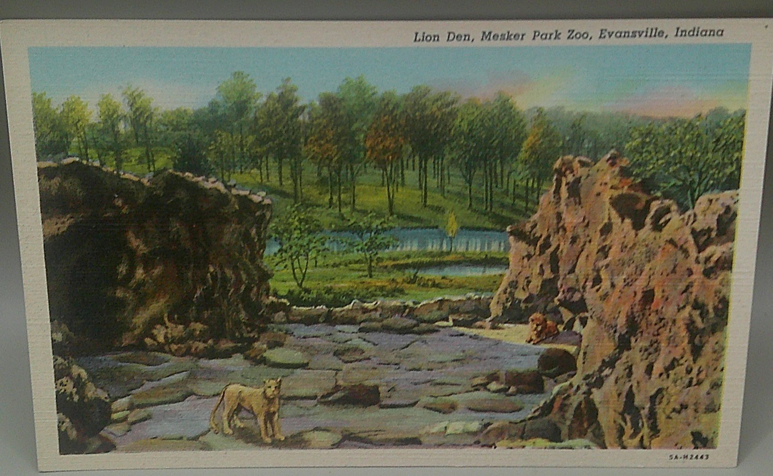 Mesker Park Zoo Lions Den Linen Postcard Evansville IN Vintage Mesker Park Zoo Lions Den Linen Postcard Evansville IN Vintage