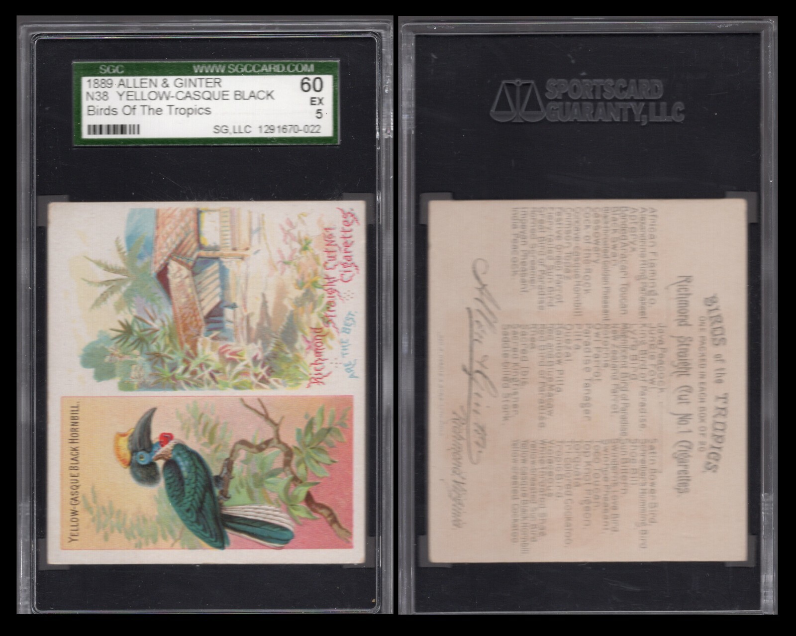 1889 N38 ALLEN & GINTER BIRDS OF THE TROPICS\ 1889 N38 ALLEN & GINTER BIRDS OF THE TROPICS\