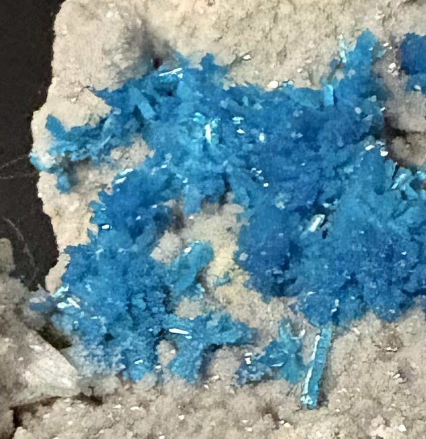 Cavansite on Matrix - Poona (Pune) District, Maharashtra, India – Striking Blue