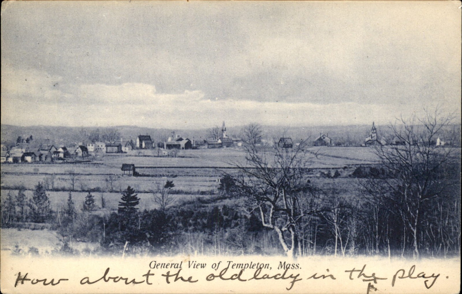 Templeton MA General View Templeton W. B. Hale c1907 Vintage Postcard