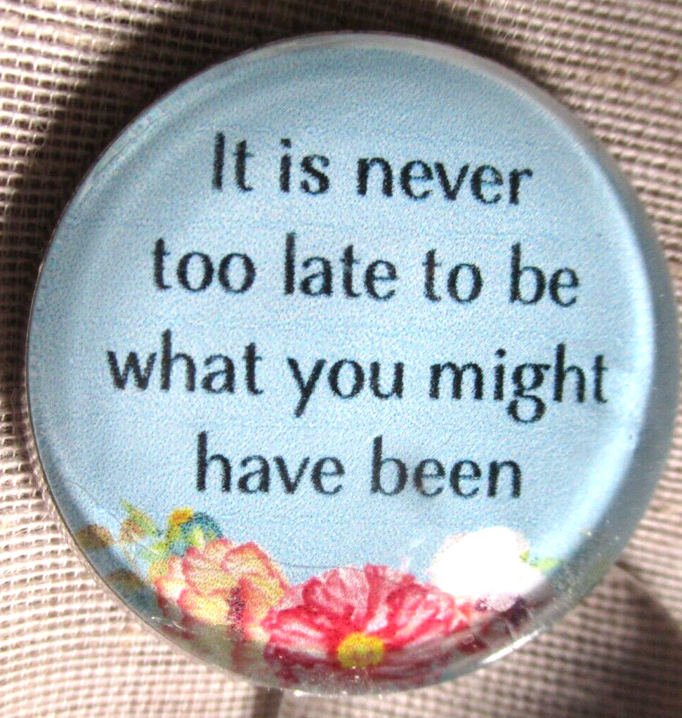 GLASS DOME PICT BUTTON  - IT\'S NEVER TO LATE TO BE WHAT YOU MIGHT HAVE BEEN 30mm