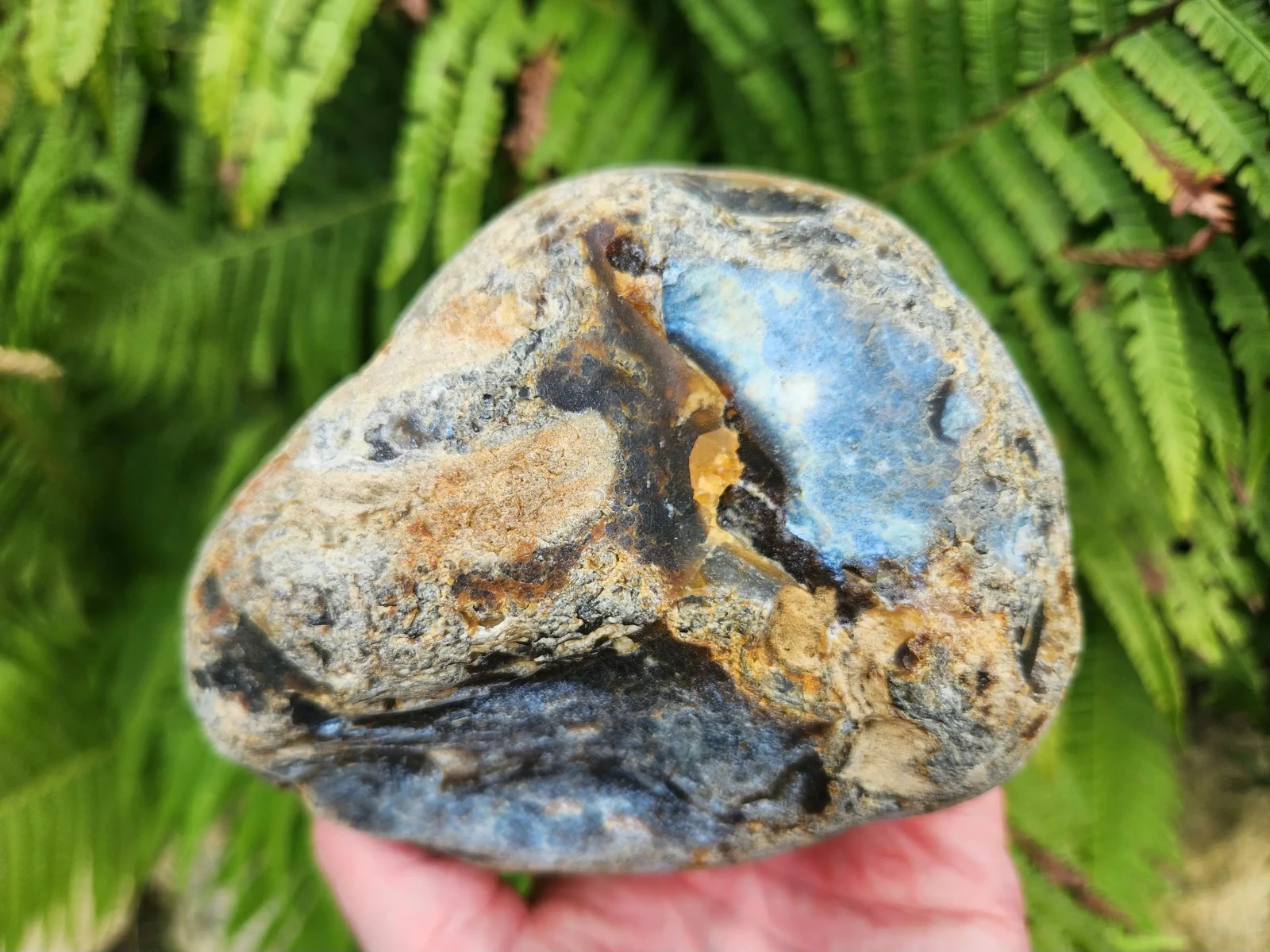 Rare 2-lb Oregon Coast Sard Agate, Rough Brownish-Black Agate, Dark Chalcedony