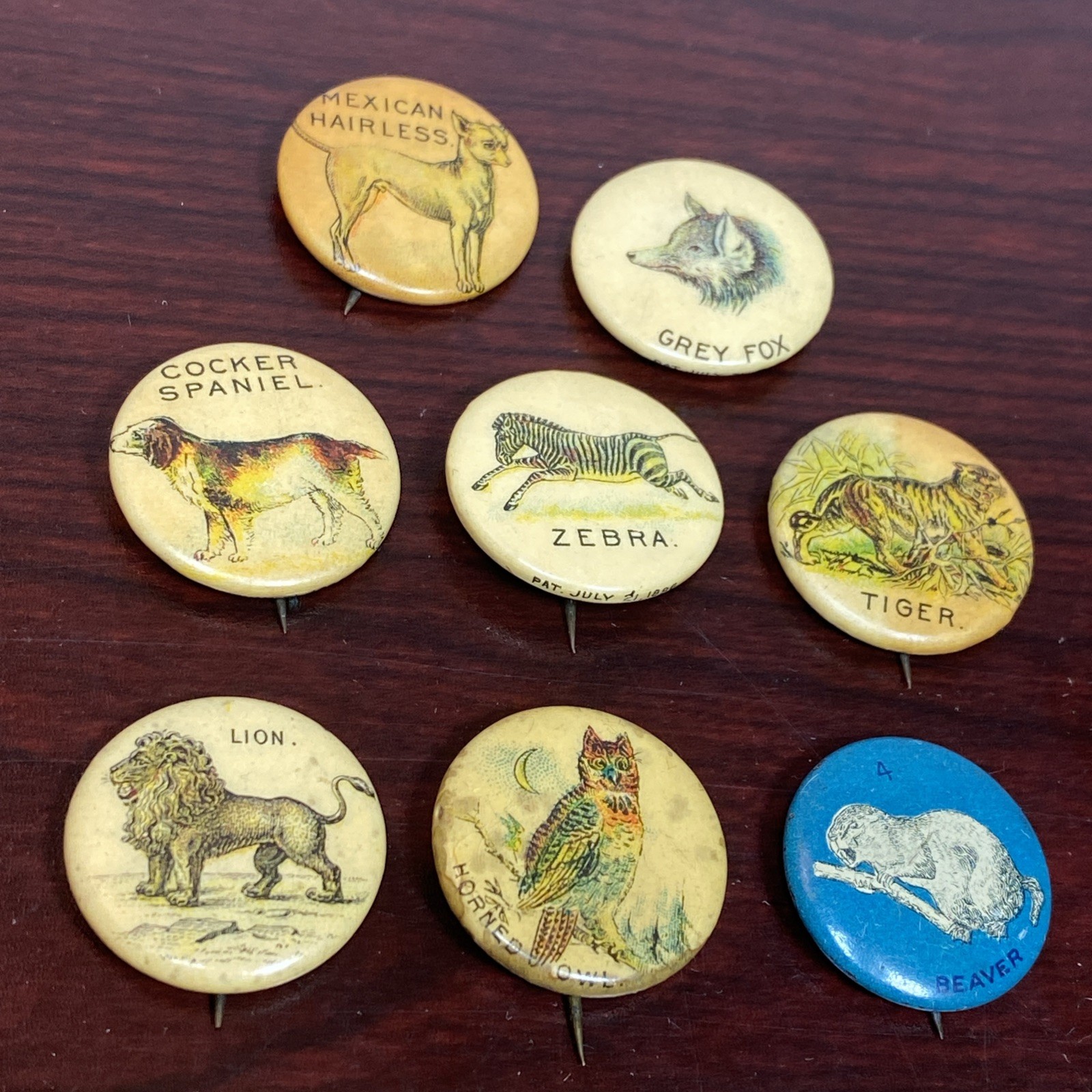 VTG Lot ANTIQUE 1890s Pepsin Gum Celluloid Animals Button Pins Whitehead & Hoag