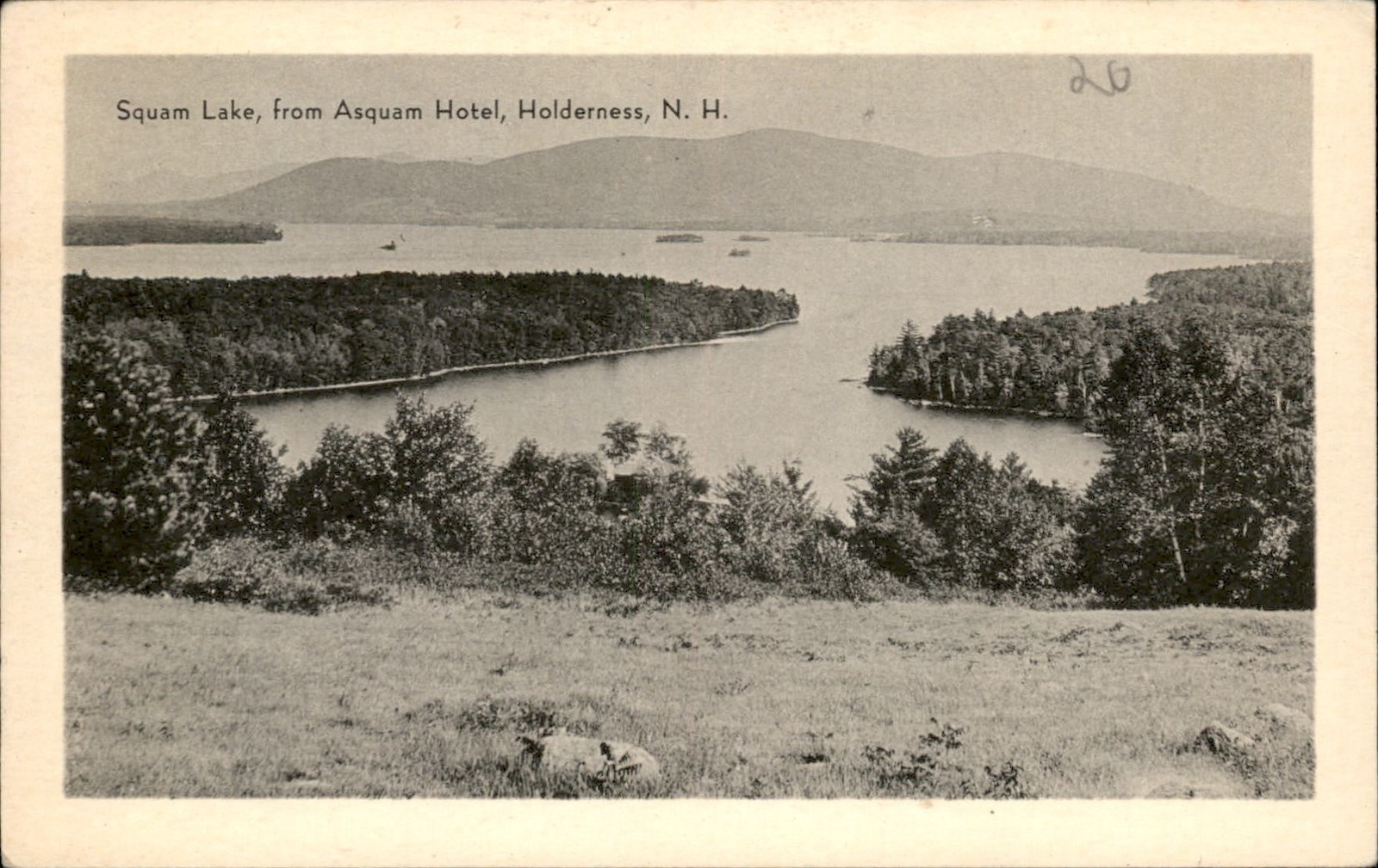 Holderness NH Squam Lake The Meriden Gravure Co. c1900s-10s Vintage Postcard