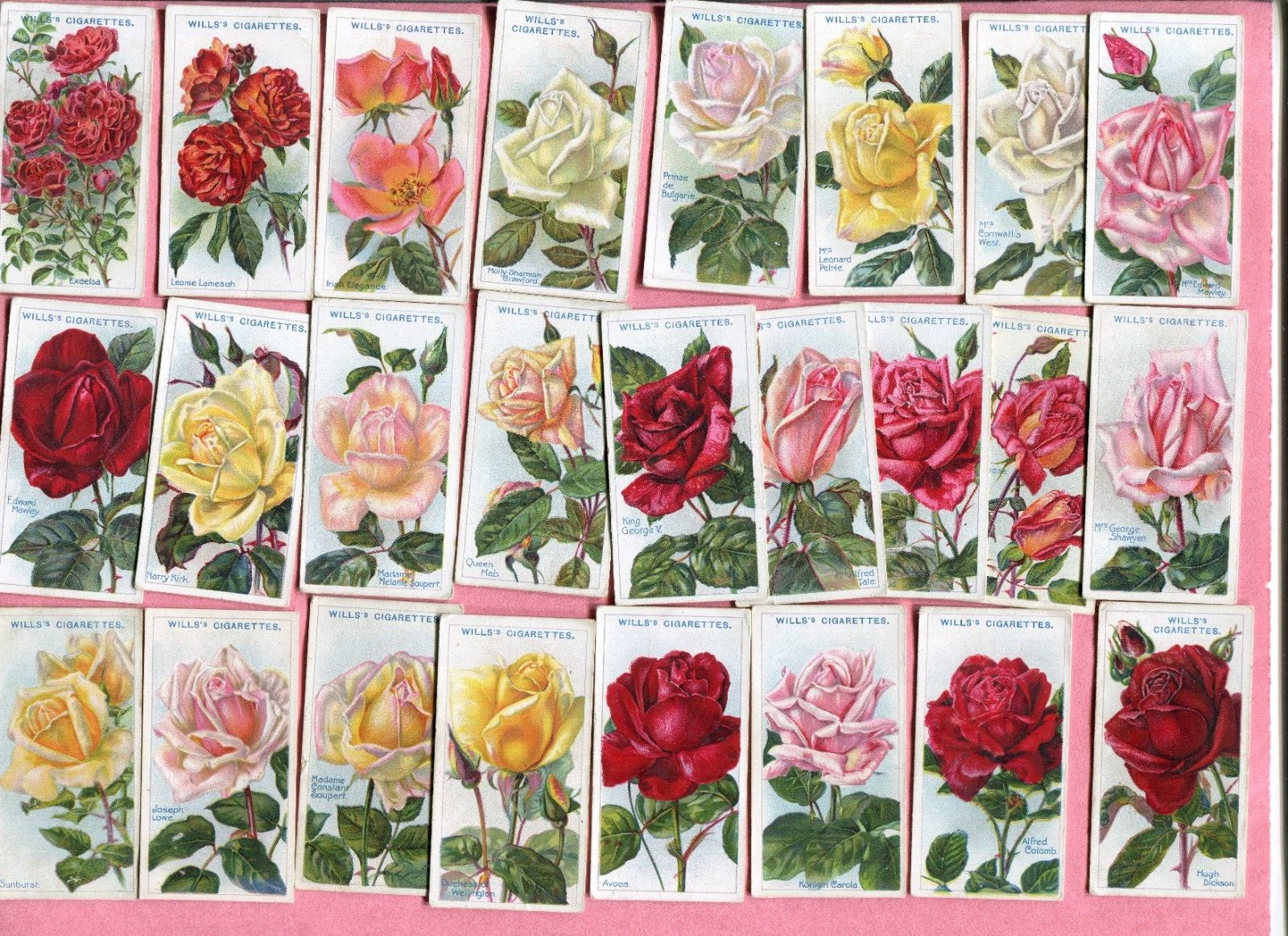 1914 W.D. & H.O. WILLS CIGARETTES ROSES 2ND SERIES 50 TOBACCO CARD SET