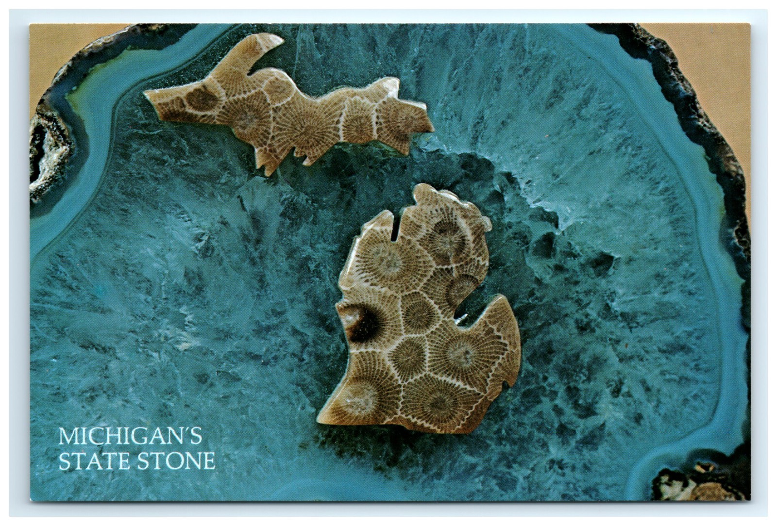 Postcard Petoskey Stone Cut in Shape of State of Michigan 6 x 4 Chrome UNP