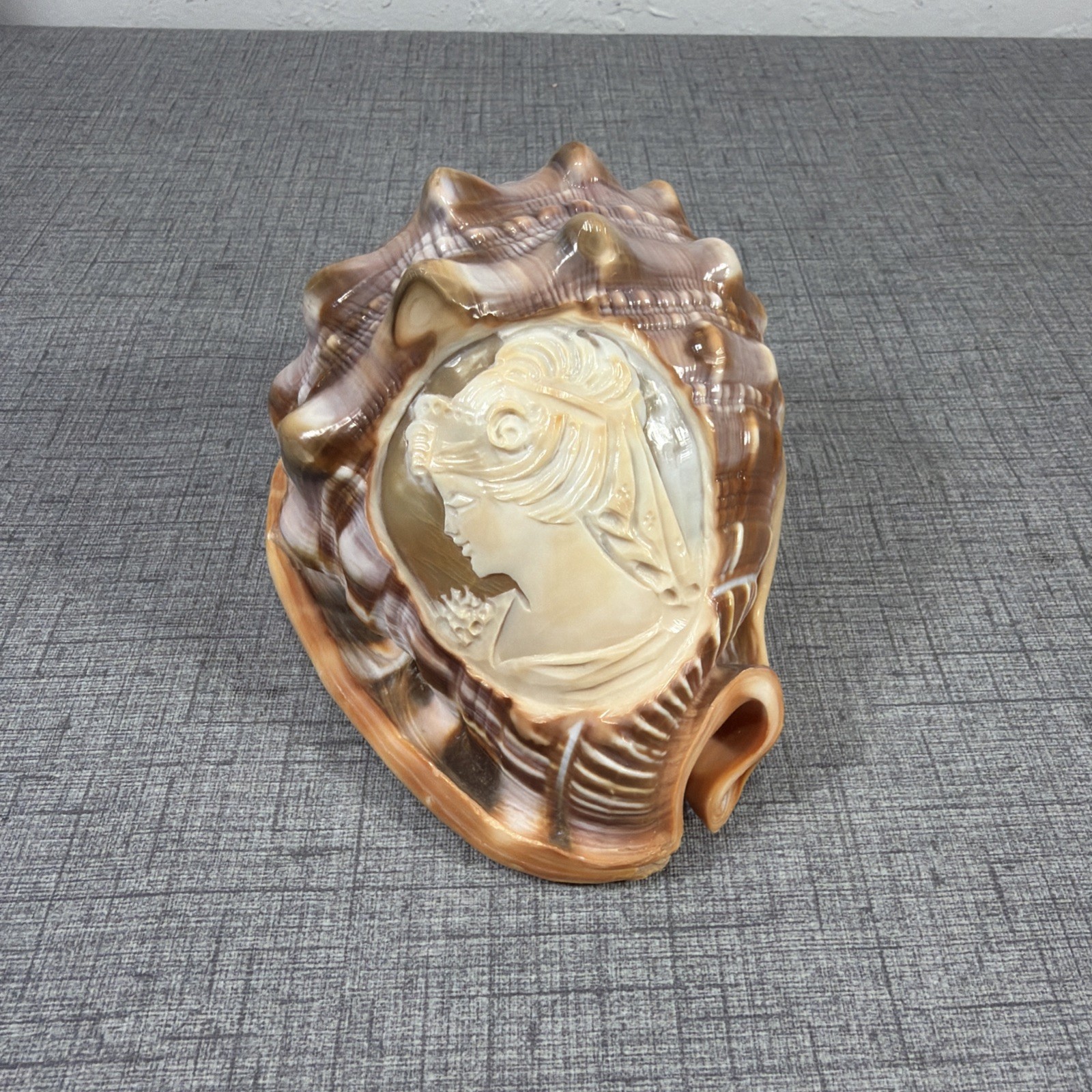 Beautiful Hand Carved Italian Cameo Queen Conch Seashell 5”x4” Beautiful Hand Carved Italian Cameo Queen Conch Seashell 5”x4”