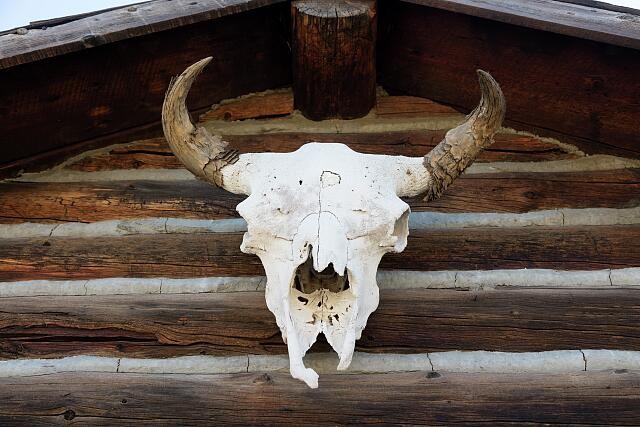 Photo:Cody Wyoming 2015 Steer Skull on Restored Cabin Old Trail Town