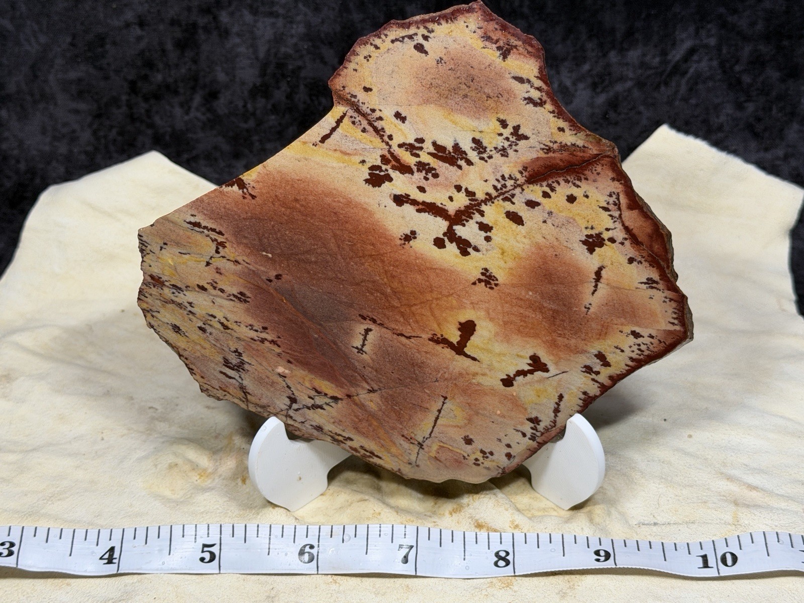 A+ Owyhee Dendritic Jasper Slab, Lot #250