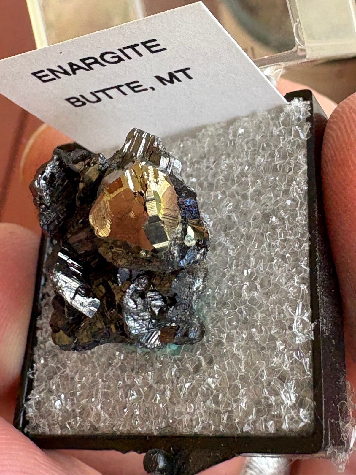 Enargite, with octahedral Pyrite, Leonard mine, Butte, MT, USA