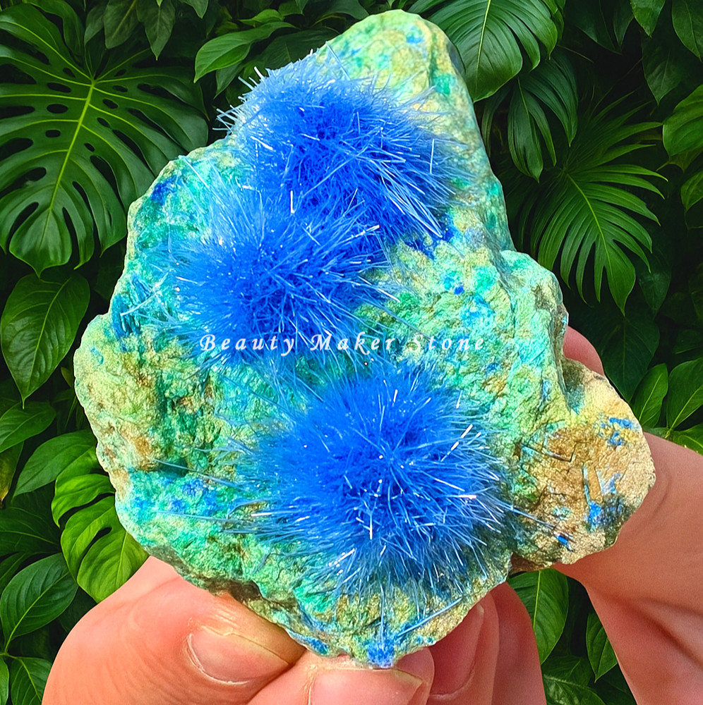 50-80G Rare Dandelion zeolite Quartz Crystal Cluster Mineral Rock Specimen Decor