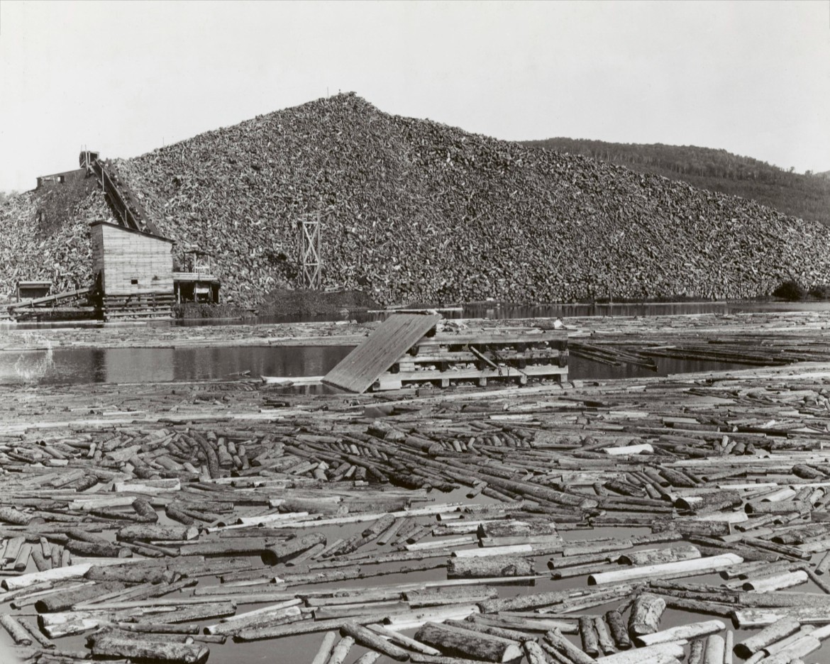Brown Company Pulpwood Pile at Mill Berlin NH New Hampshire 8x10 photo