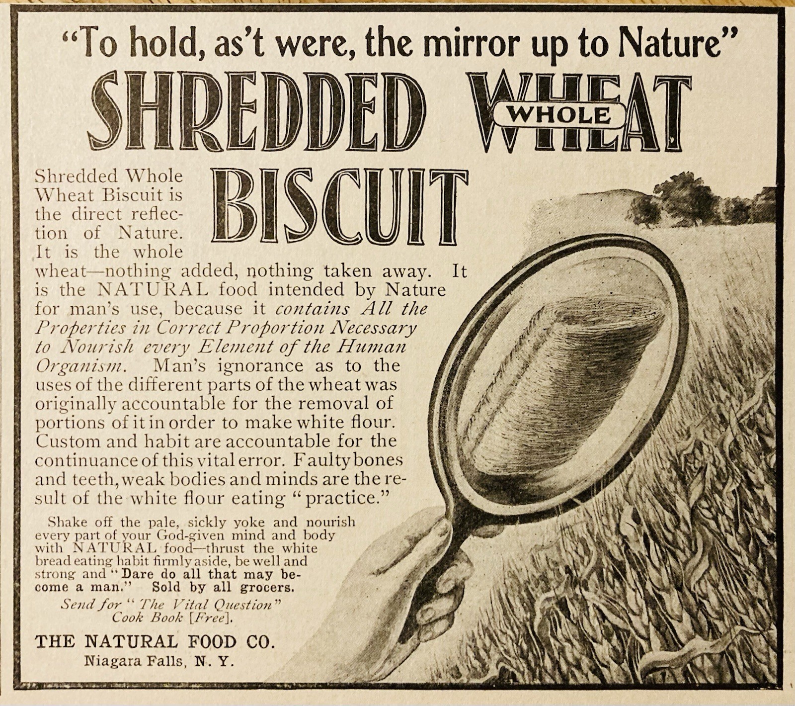 1902 AD.(N8)~THE NATURAL FOOD CO. NIAGARA FALLS, NY. SHREDDED WHEAT BISCUIT