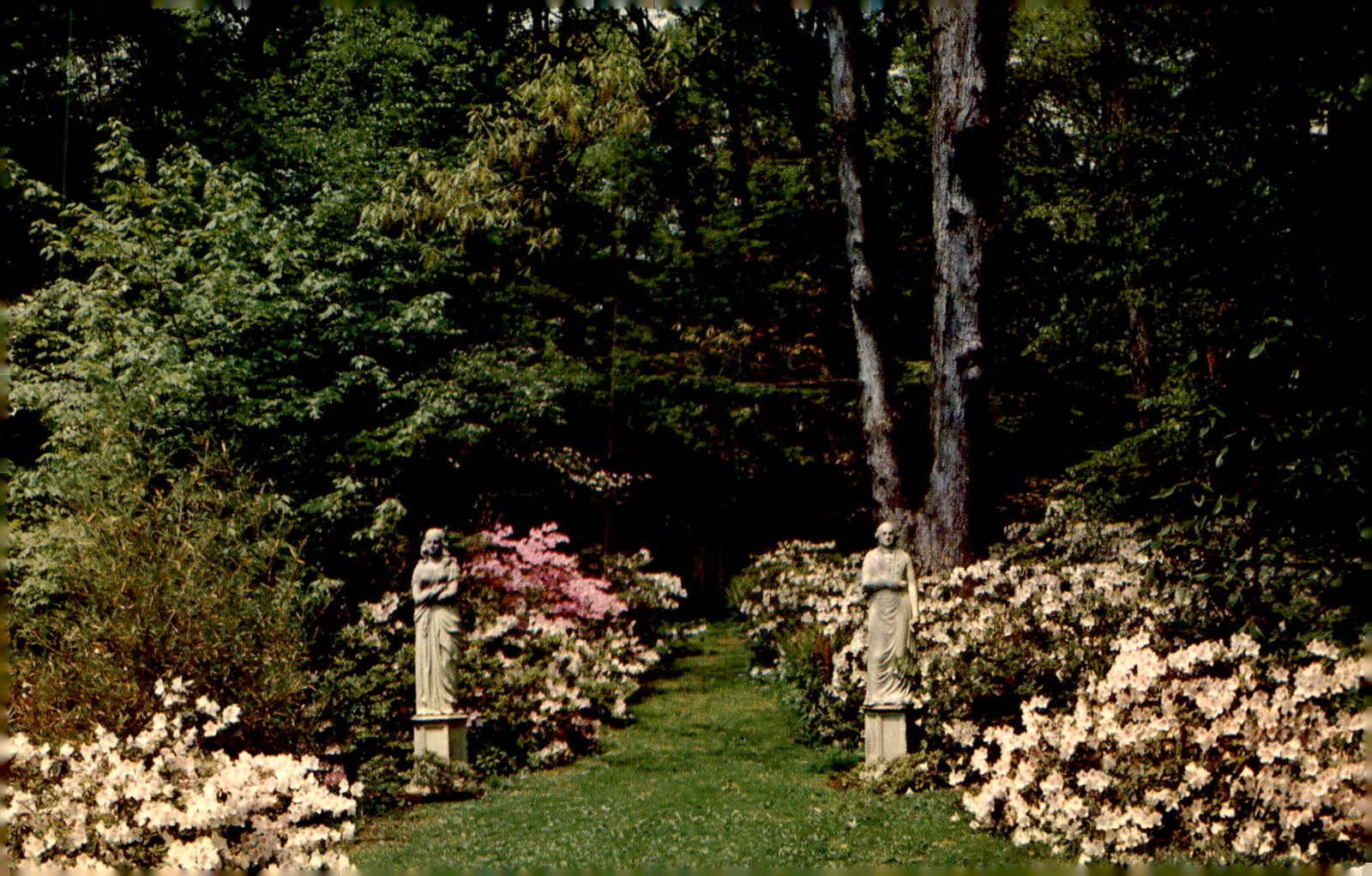 Winterthur Gardens, Delaware, 1969 Postcard