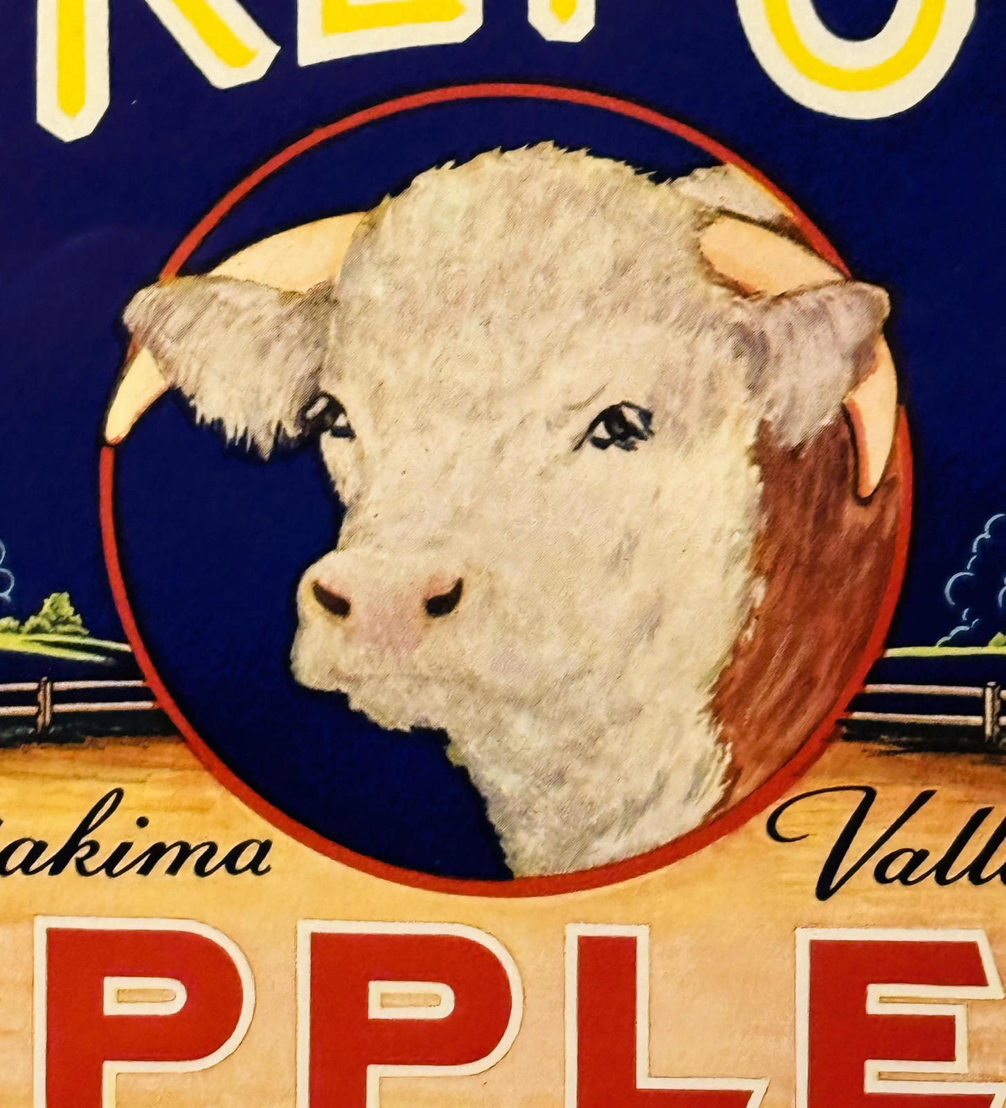 Antique 1930s Hereford Apples Crate Label, Selah, WA, Historic Americana